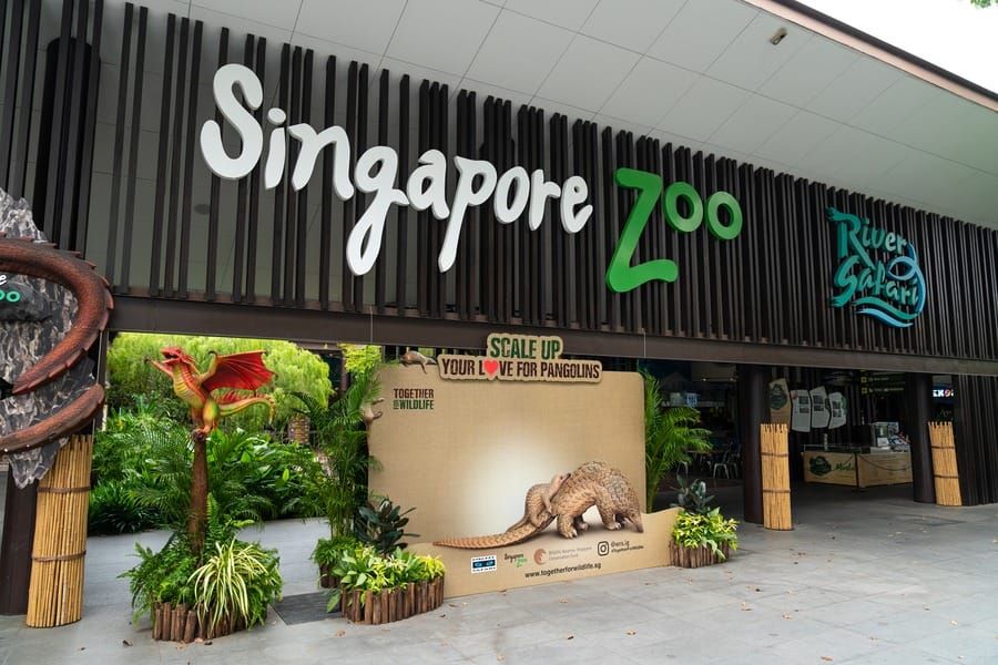 Singapore Zoo: A World-Class Wildlife Haven in Asia