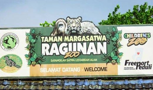 Jakarta Zoo Indonesia: A Gateway to Wildlife and Education