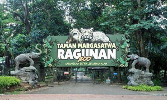 Philippine Zoo Pesona Kebun Binatang di Negeri Tropis Asia Tenggara