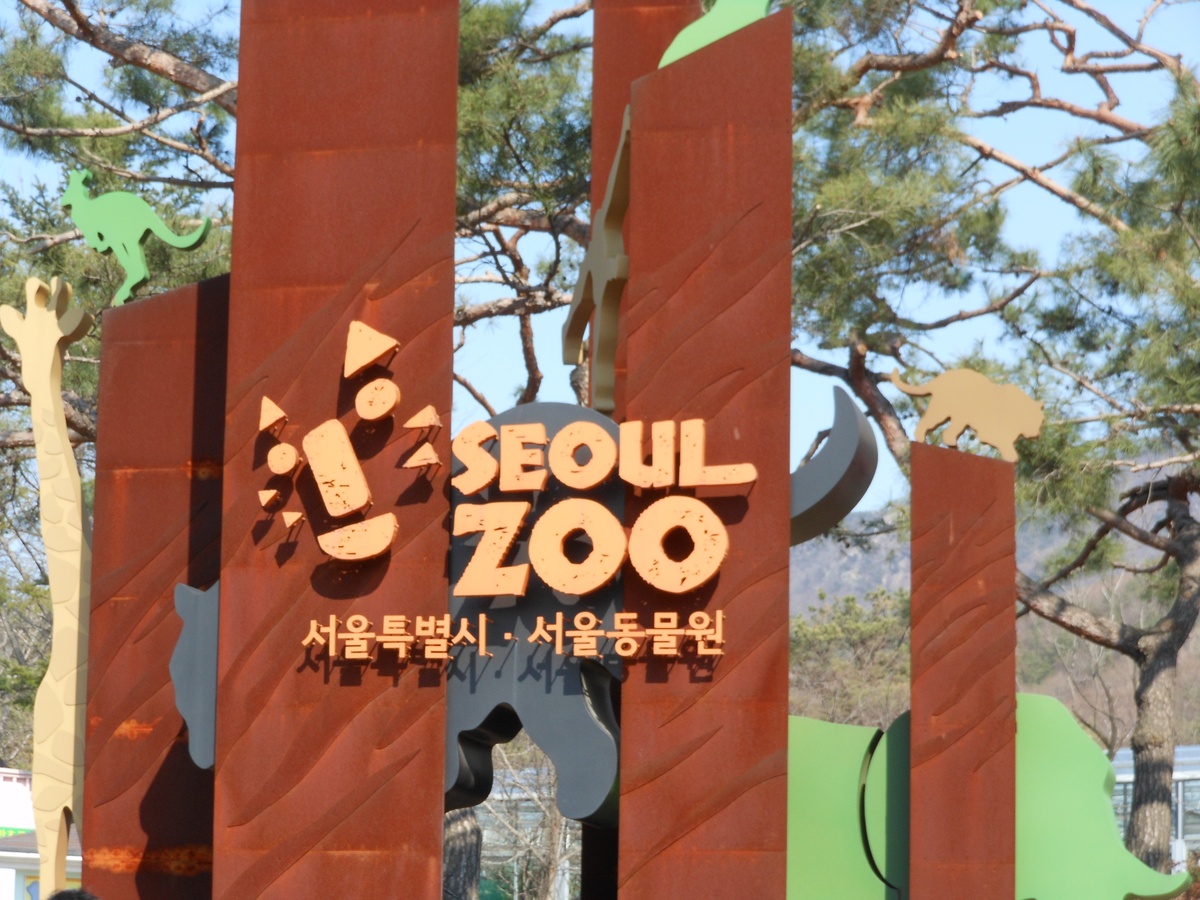 Korean Zoo: Surga Konservasi dan Wisata Edukasi di Negeri Ginseng