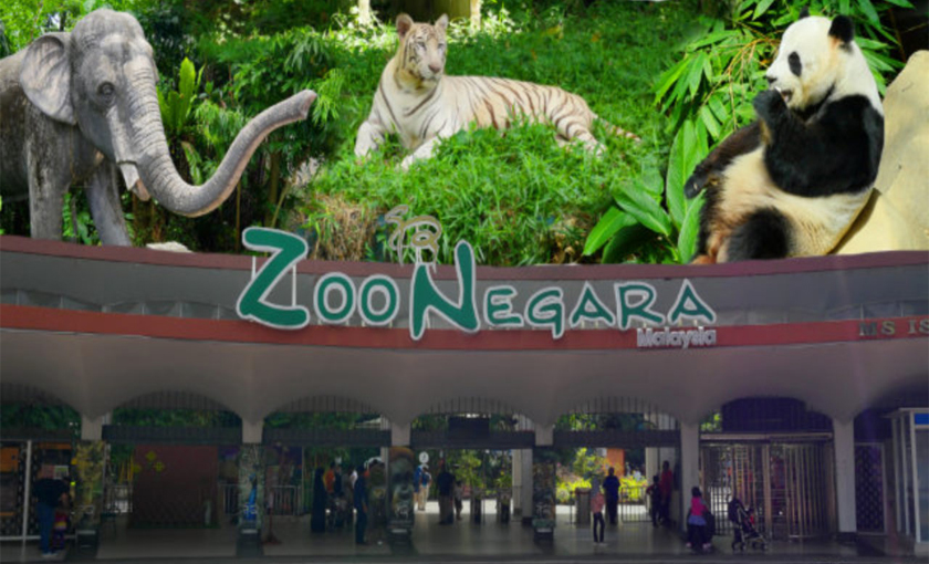 Malaysia Zoo