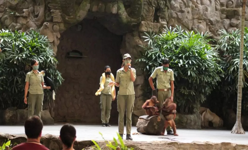 Melestarikan Satwa Liar