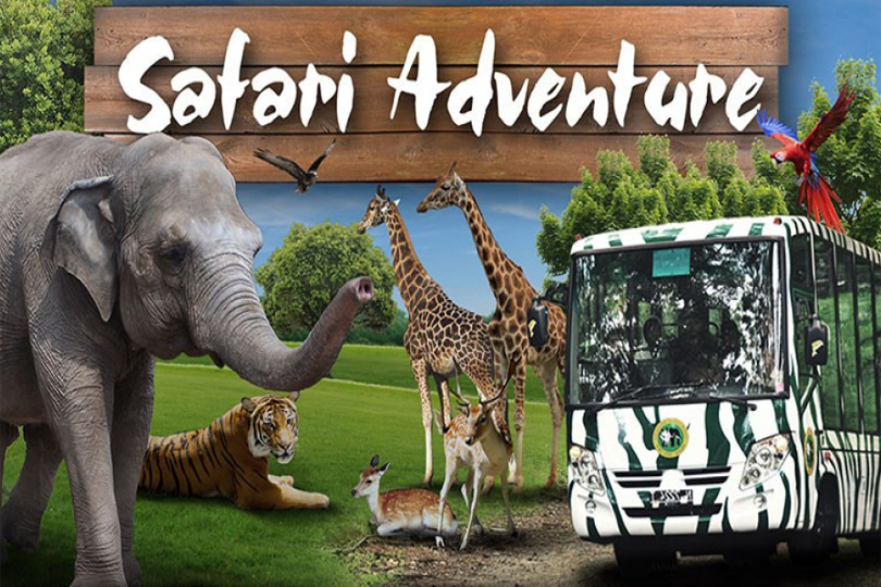 Safari Park Journey