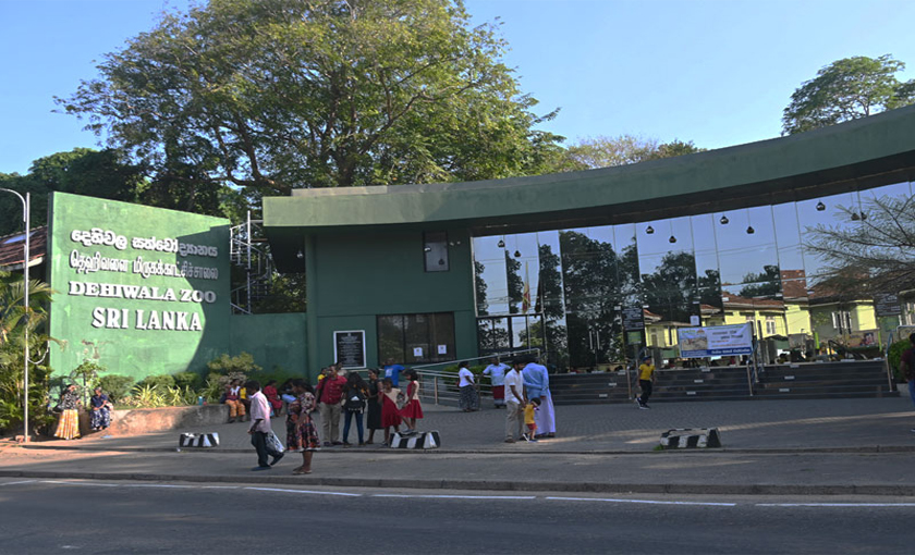 Sri Lanka Zoo