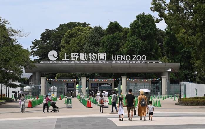 Jepang Zoo Lebih dari Sekadar Kebun Binatang